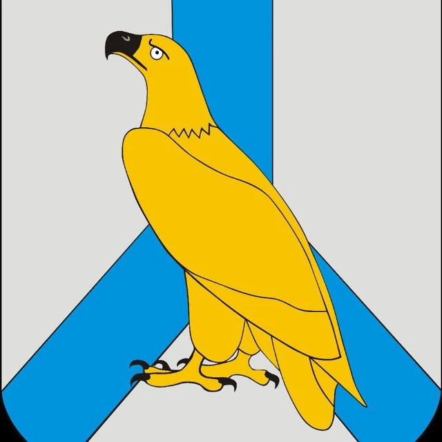 Дума Дальнереченского городского округа