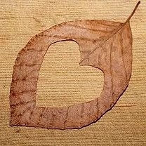 Истории о любви и не только