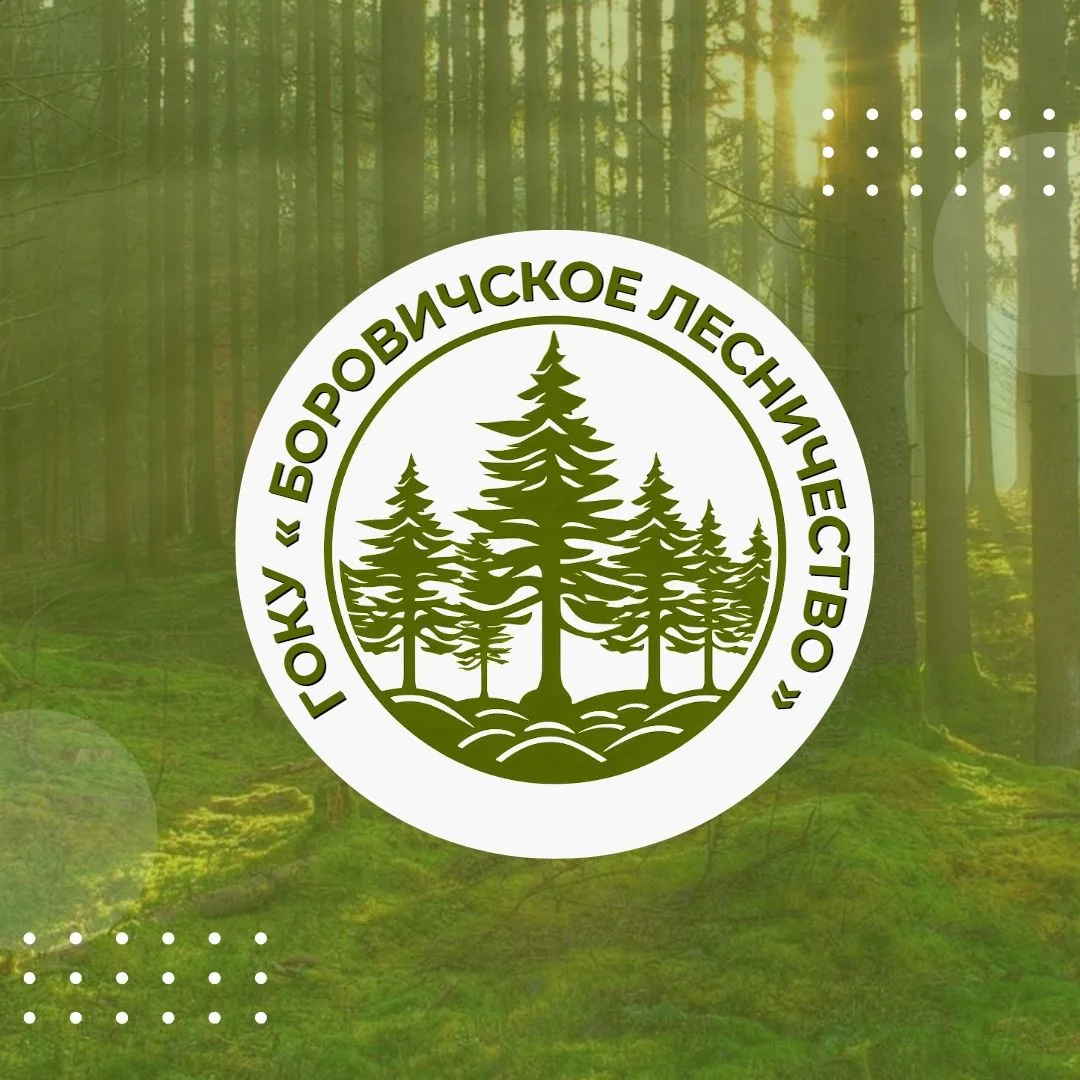ГОКУ "Боровичское лесничество"