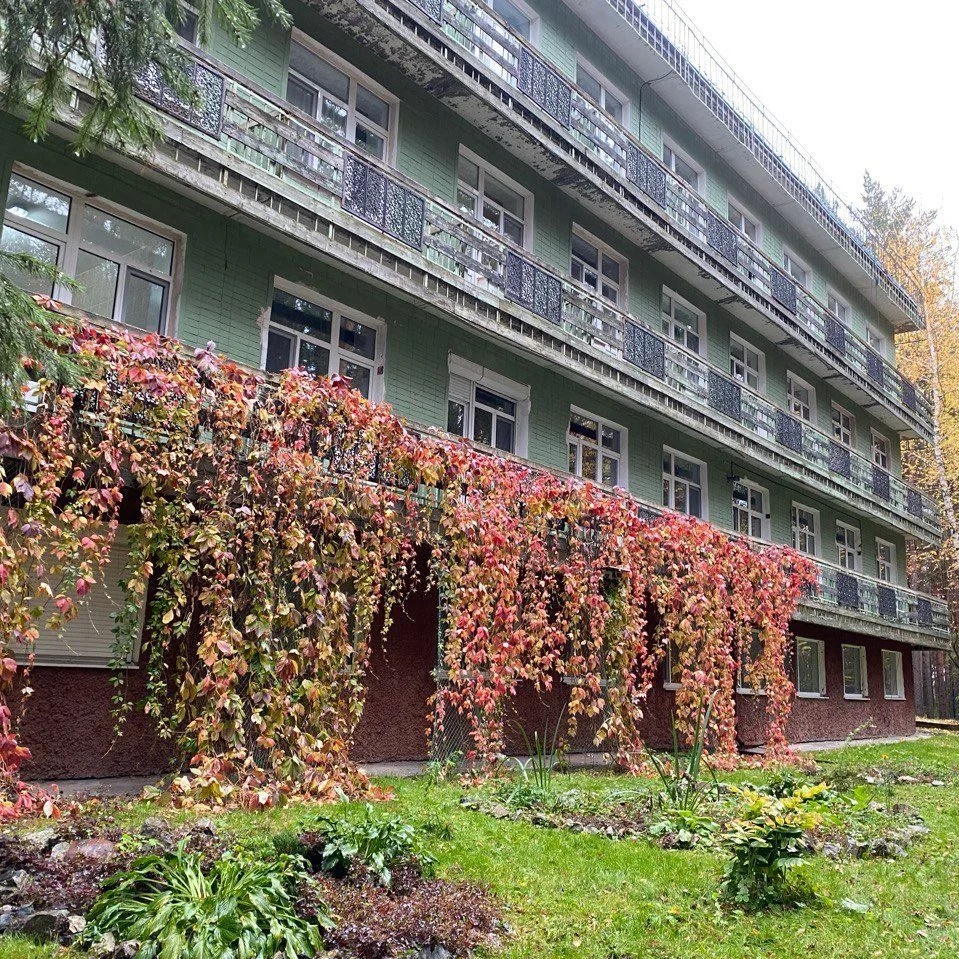 МБУ ОЦ «Сосновый бор»