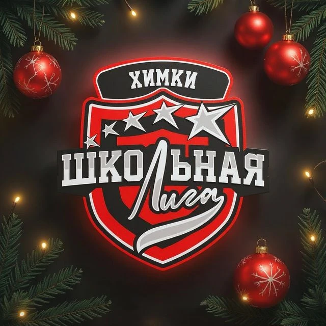 Химкинская Школьная Лига