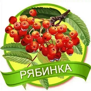 МДОУ д/с "Рябинка" г. Балашова