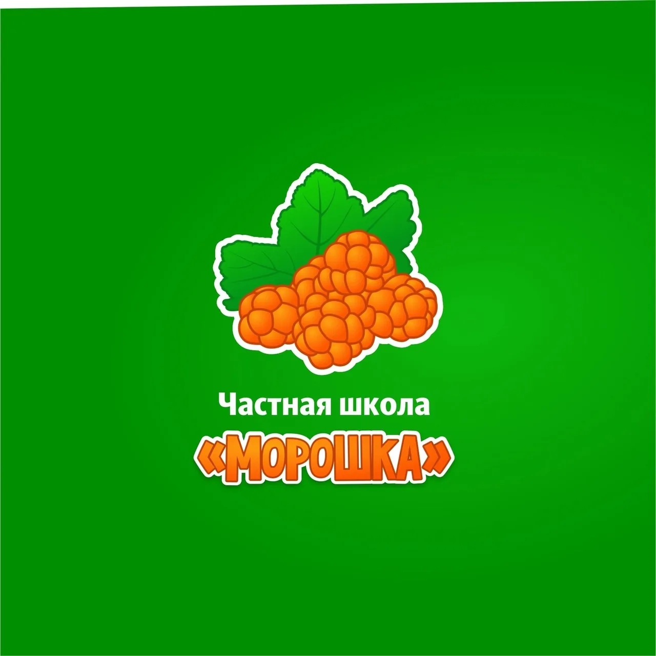 Частная школа Санкт-Петербург | Морошка