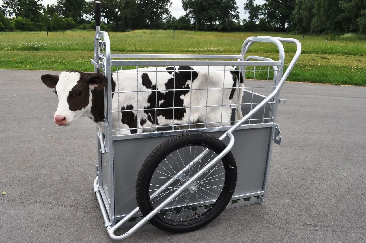 Животноводство Market