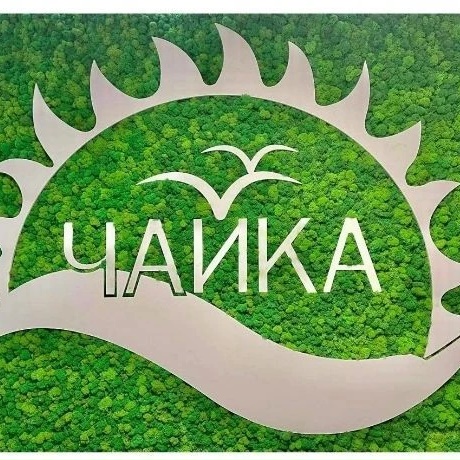 Загородный оздоровительный лагерь "Чайка" Тетюши