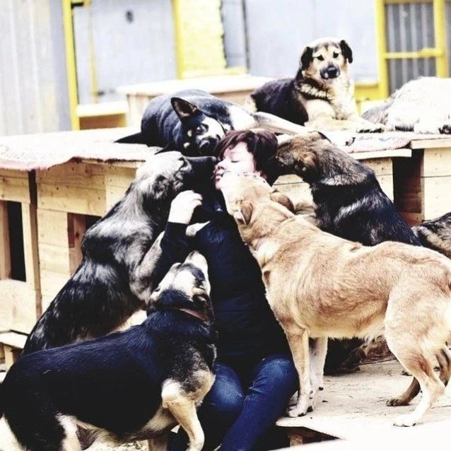 Приют "Хвостики", БФ "Яша"