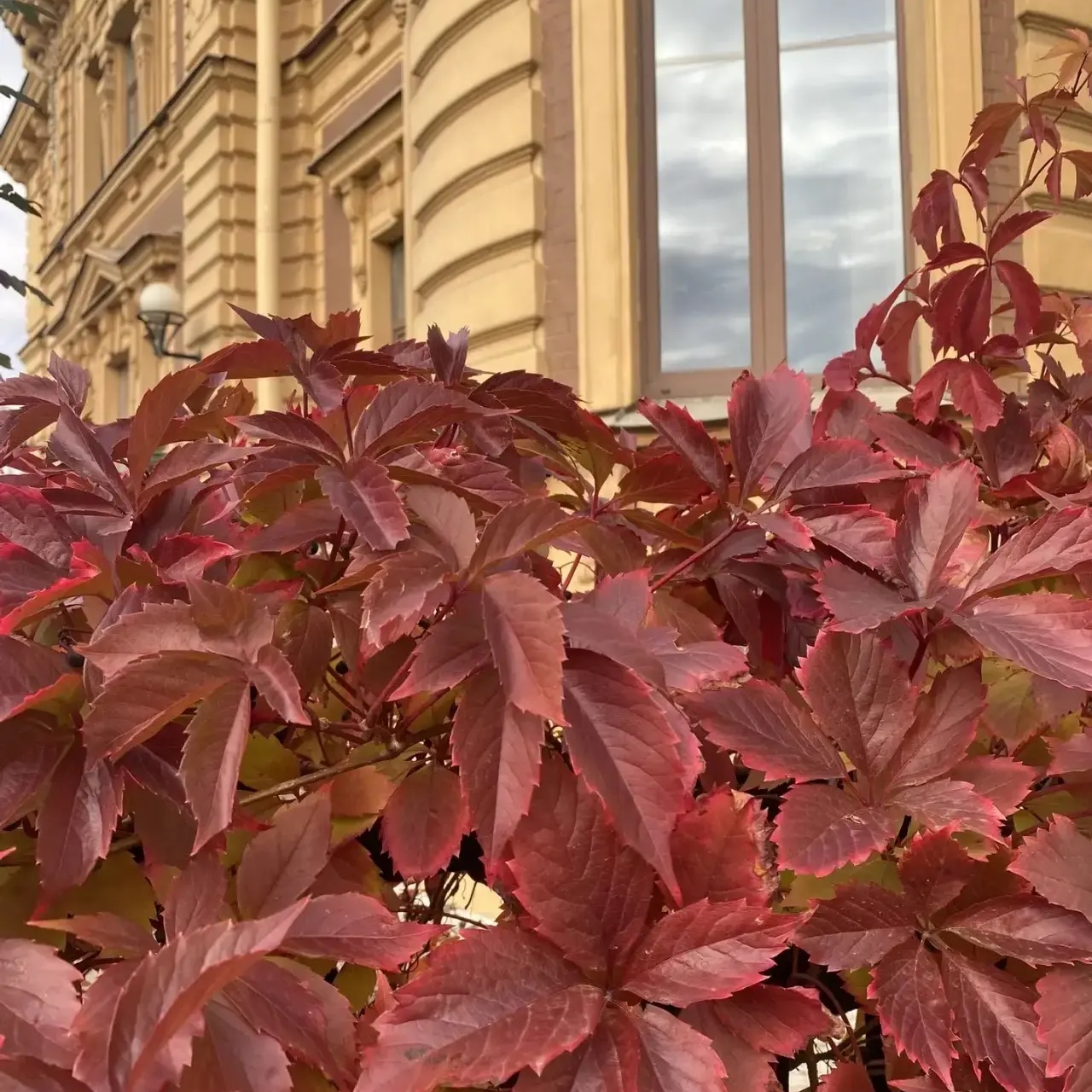 ГБДОУ детский сад № 4 Адмиралтейского района Санкт-Петербурга