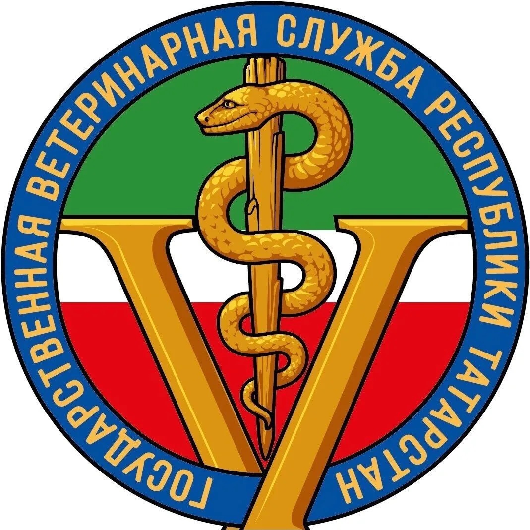 ГБУ  ''Нижнекамское РГВО''