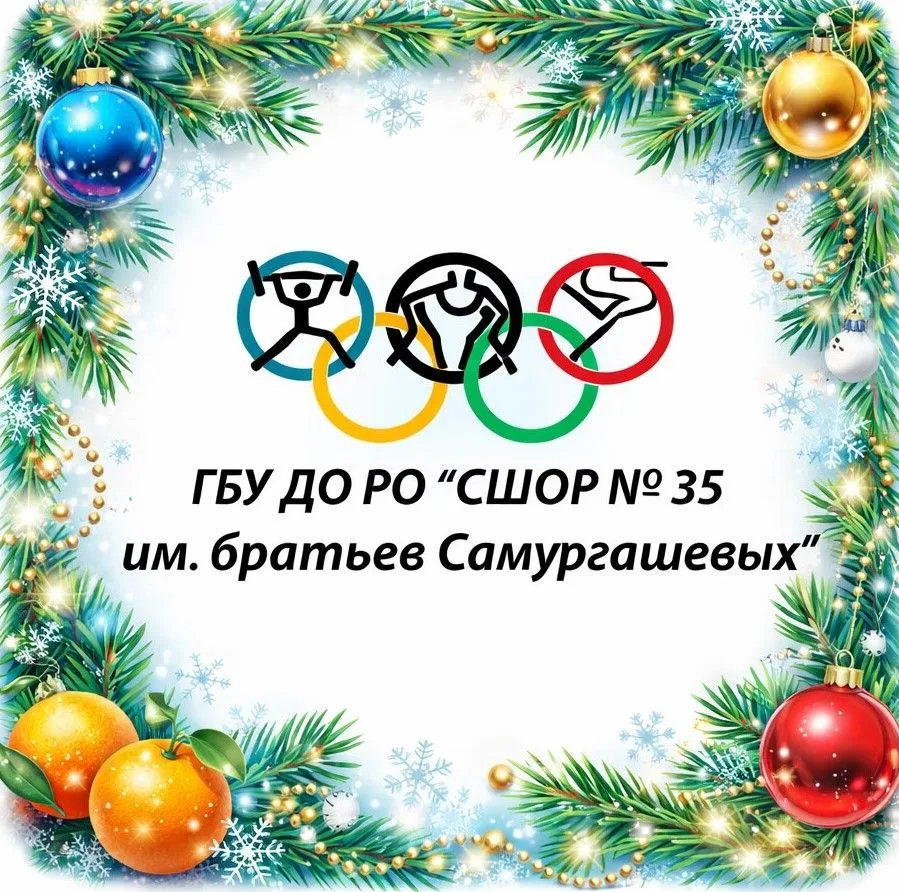 ГБУ ДО РО "СШОР №35 им. братьев Самургашевых"