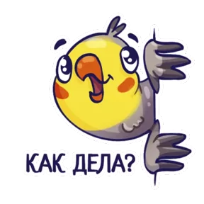 Попугайчики — стикер для MAX