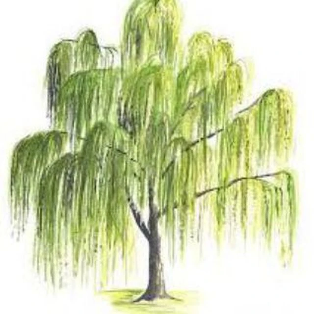 ГОСУДАРСТВЕННОЕ КАЗЕННОЕ ДОШКОЛЬНОЕ ОБРАЗОВАТЕЛЬНОЕ УЧРЕЖДЕНИЕ "ДЕТСКИЙ САД № 286 КОМБИНИРОВАННОГО ВИДА ГОРОДСКОГО ОКРУГА ДОНЕЦК" ДОНЕЦКОЙ НАРОДНОЙ РЕСПУБЛИКИ