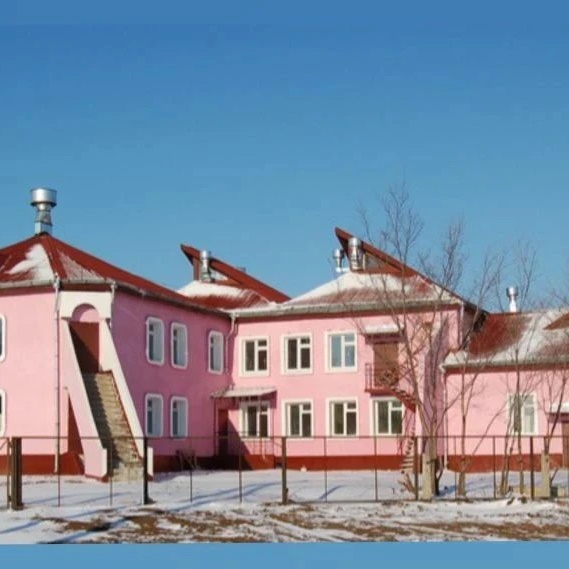 ГАУ АО "Дмитриевский СРЦН"