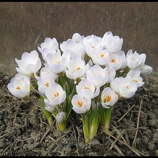 МБДОУ "Нижнекаменский детский сад "Умырзая" ЧМР РТ