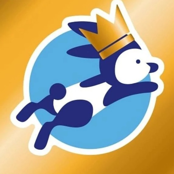 КРОЛЬ Красноярск школа плавания