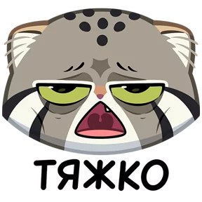 Манул Тимофей — стикер для MAX