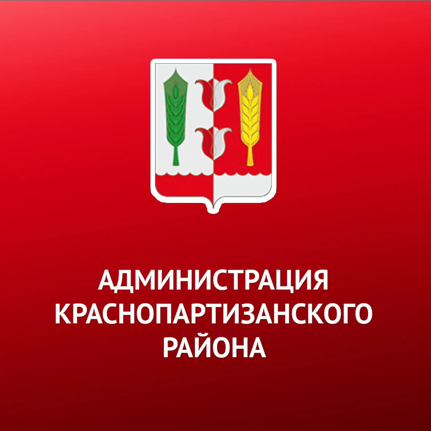 Администрация Краснопартизанского района