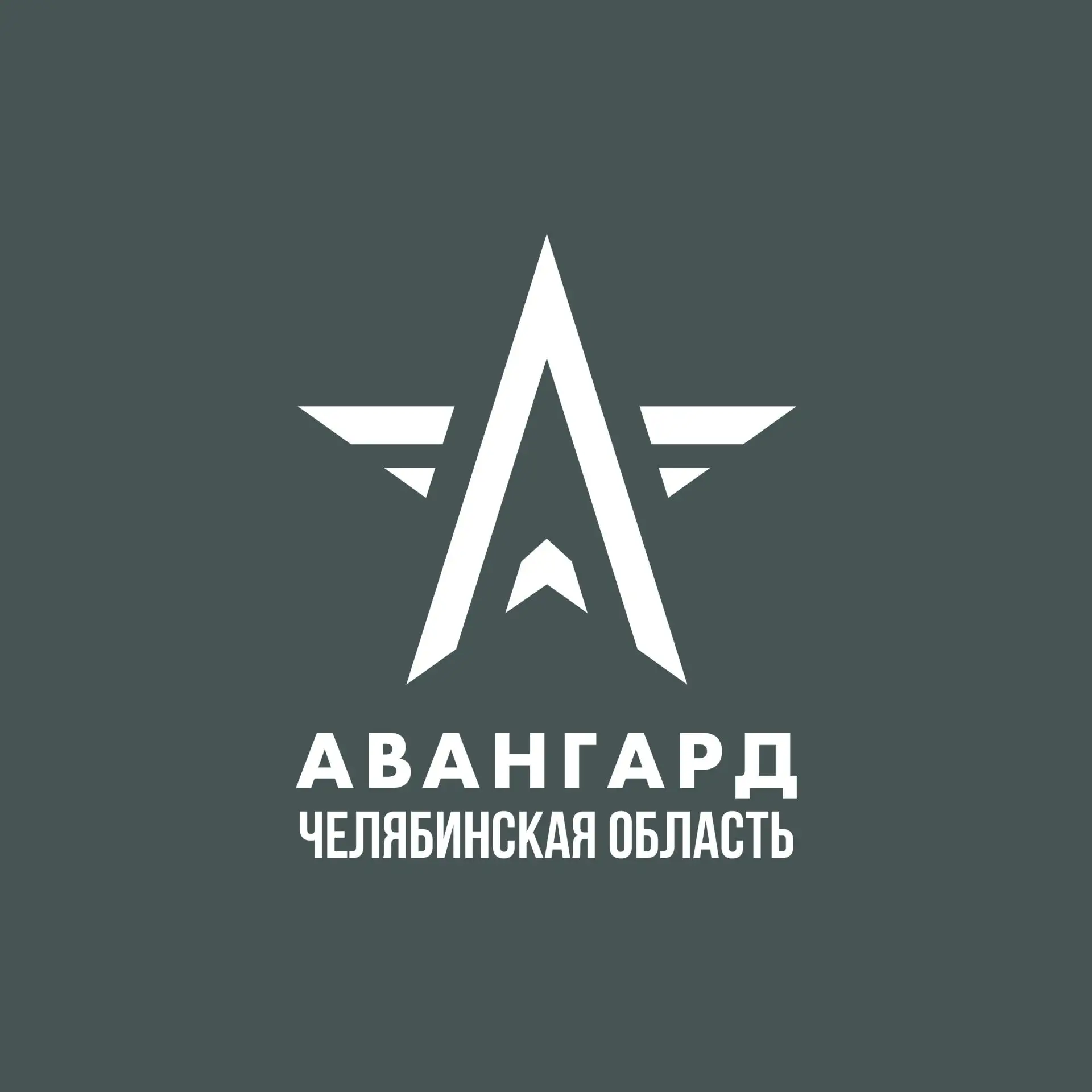 Центр Авангард Челябинская область