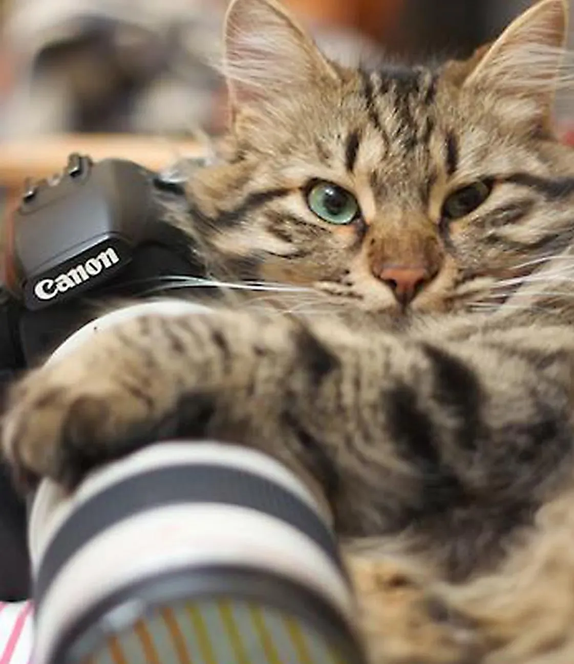 Живой Уголок