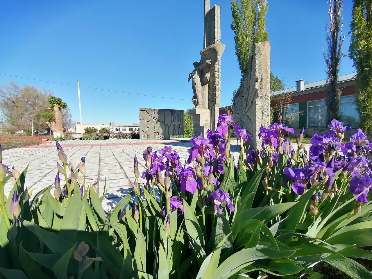 Администрация Мироновского МО Питерского МР Саратовской области