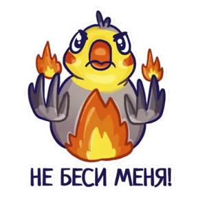Попугайчики — стикер для MAX