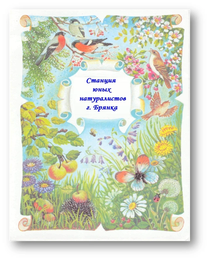 Новости ГБУ ДО ЛНР "Брянковская ГСЮН".