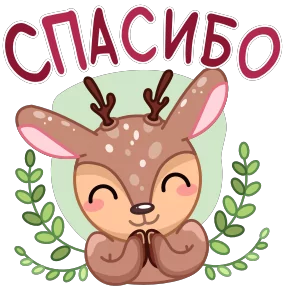 Открытки — стикер для MAX