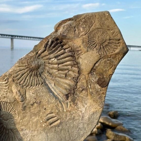 Афиша Ульяновск