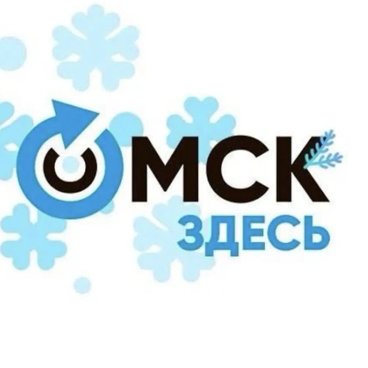 Жесть Омск Новости