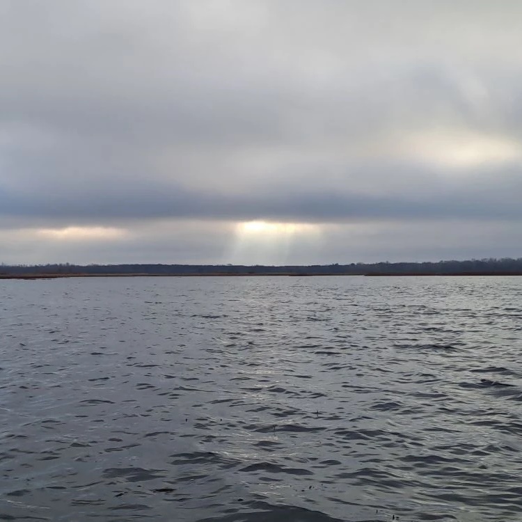 ООО УК «Заря» г.Самара