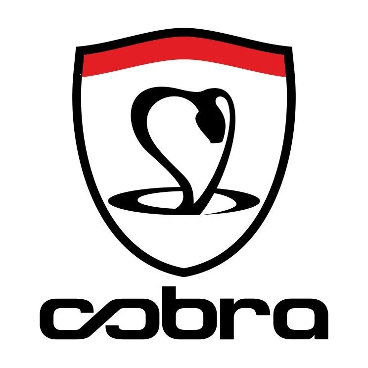 ООО "Кобра-Казань"