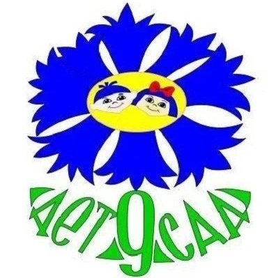 МБДОУ "ЦРР - детский сад 9"