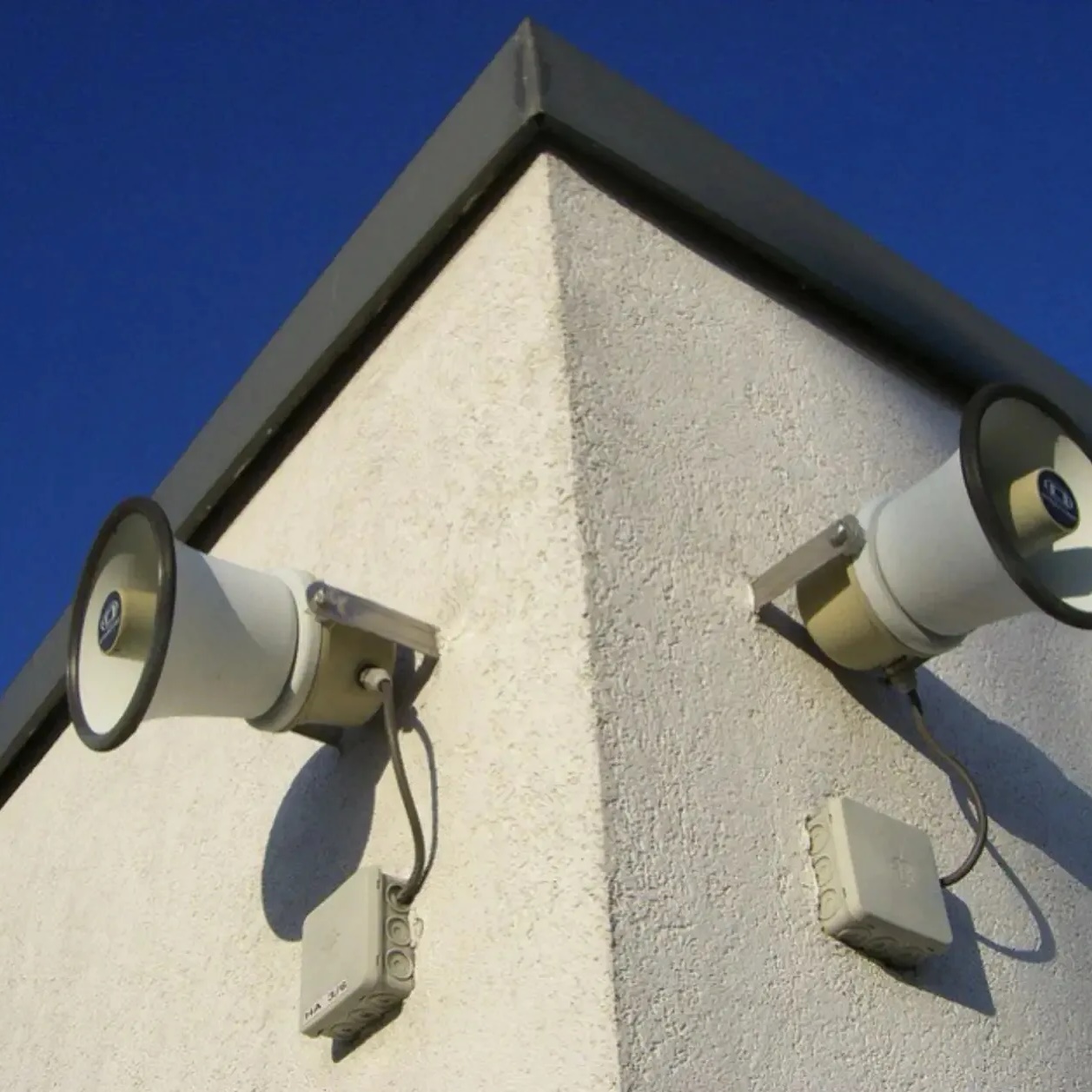 Тайны Ленинградского двора ZVO