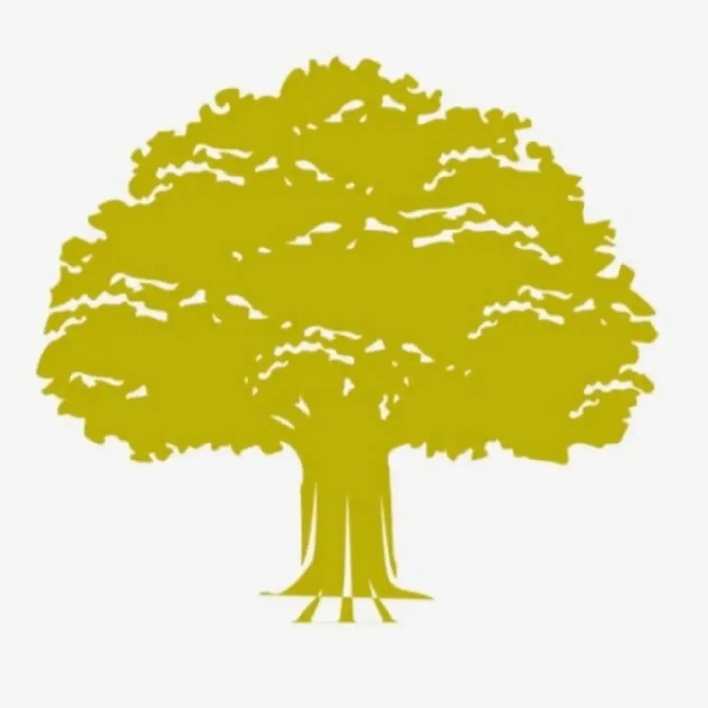 Психолог Алексеева Екатерина