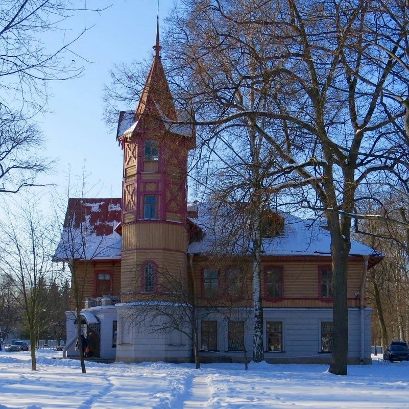 САНКТ-ПЕТЕРБУРГСКАЯ ДЕТСКАЯ ХУДОЖЕСТВЕННАЯ ШКОЛА ИМЕНИ Б.М.КУСТОДИЕВА