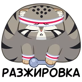 Манул Тимофей — стикер для MAX