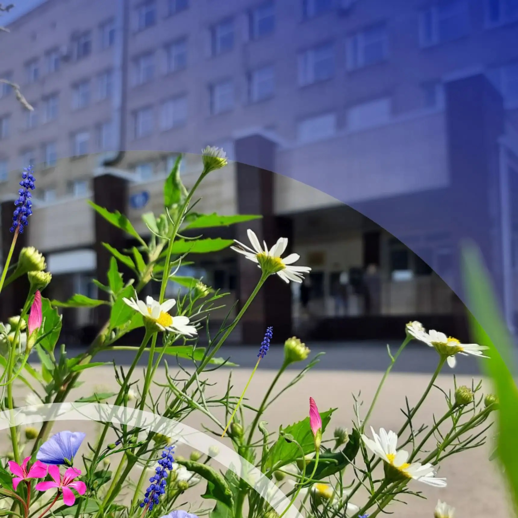 АЛТАЙСКИЙ КРАЕВОЙ КЛИНИЧЕСКИЙ ЦЕНТР ОХРАНЫ МАТЕРИНСТВА И ДЕТСТВА