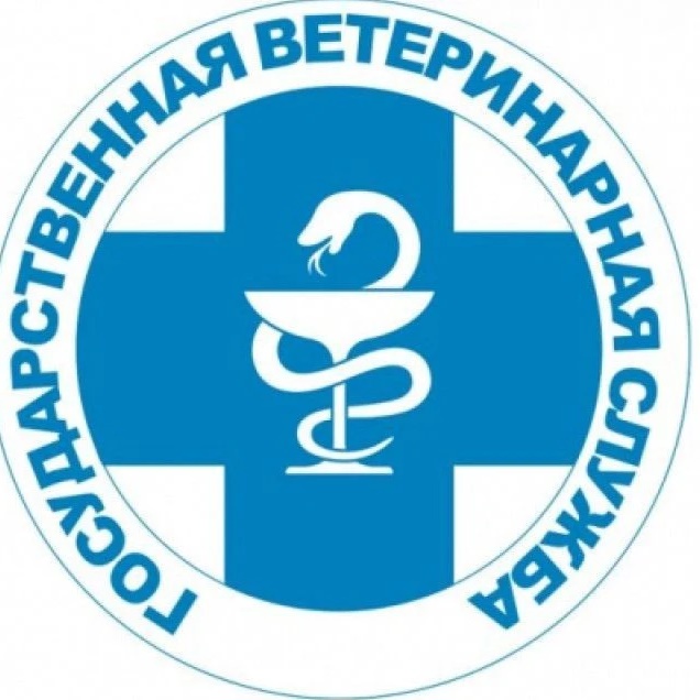 ГБУ "Сорочинское горветуправление"