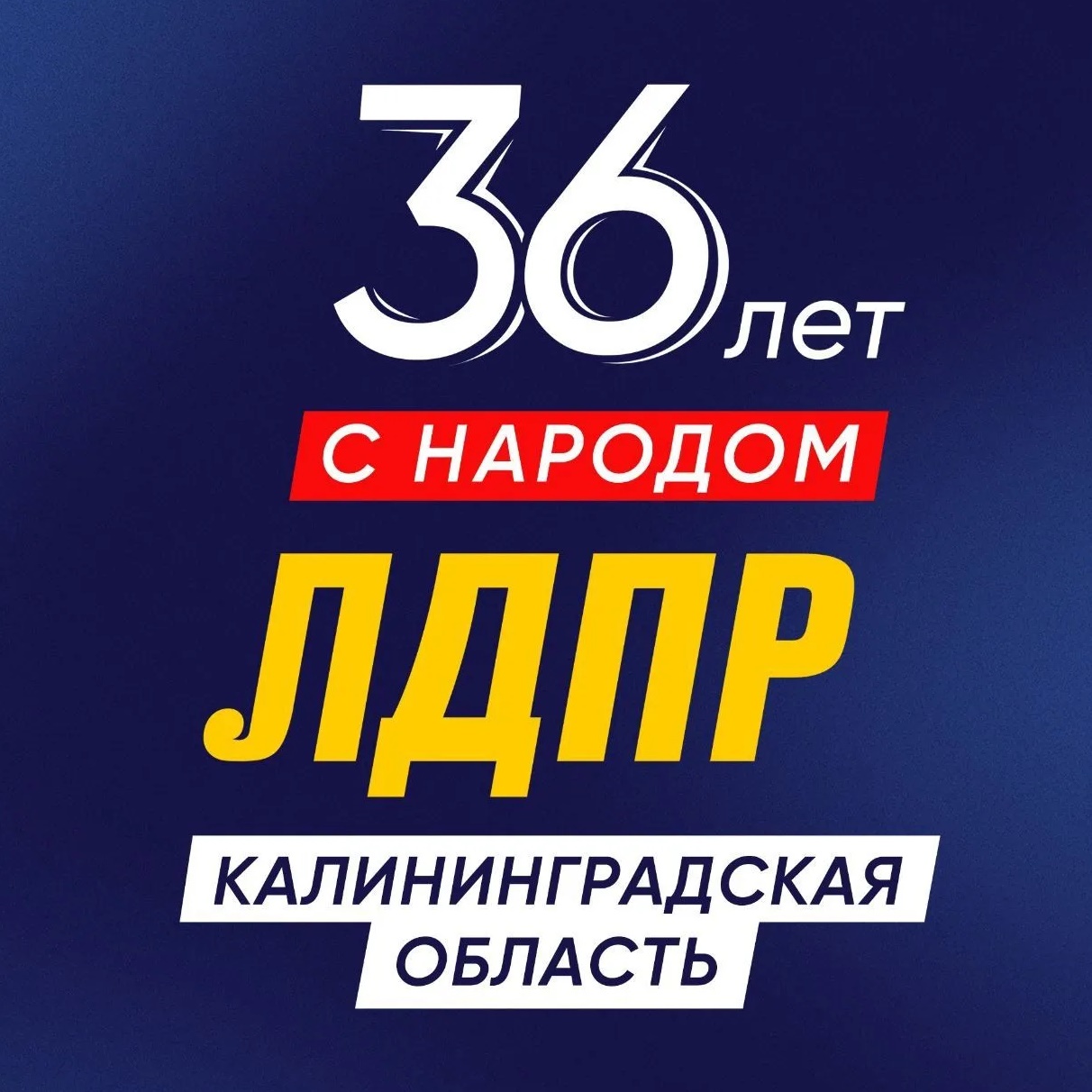 ЛДПР в Калининградской области
