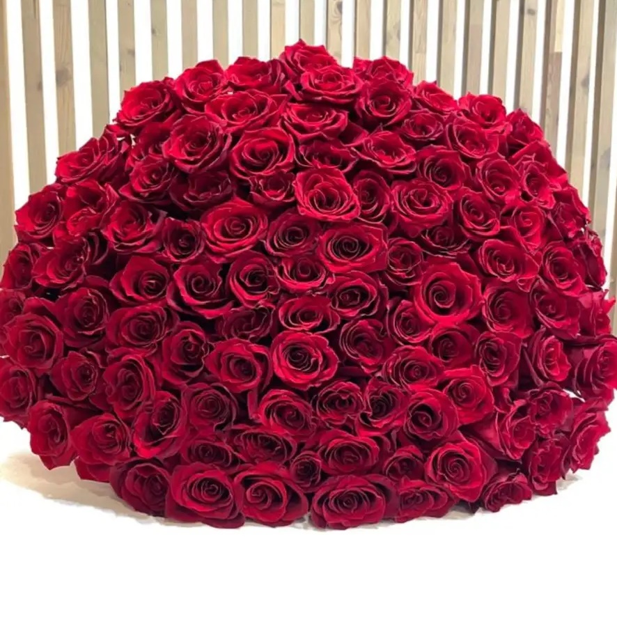 ЦВЕТЫ АСТРАХАНЬ ДОН ПИОН