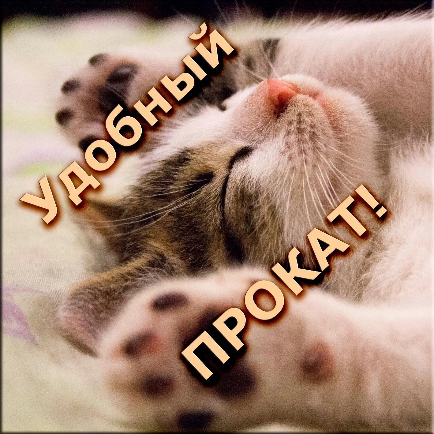 Удобный прокат Тюмень