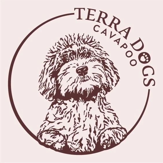 TERRA DOGS Кавапу