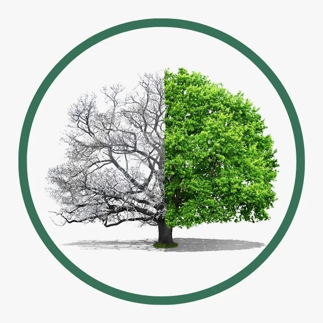 Психологическая клиника СПбГУ