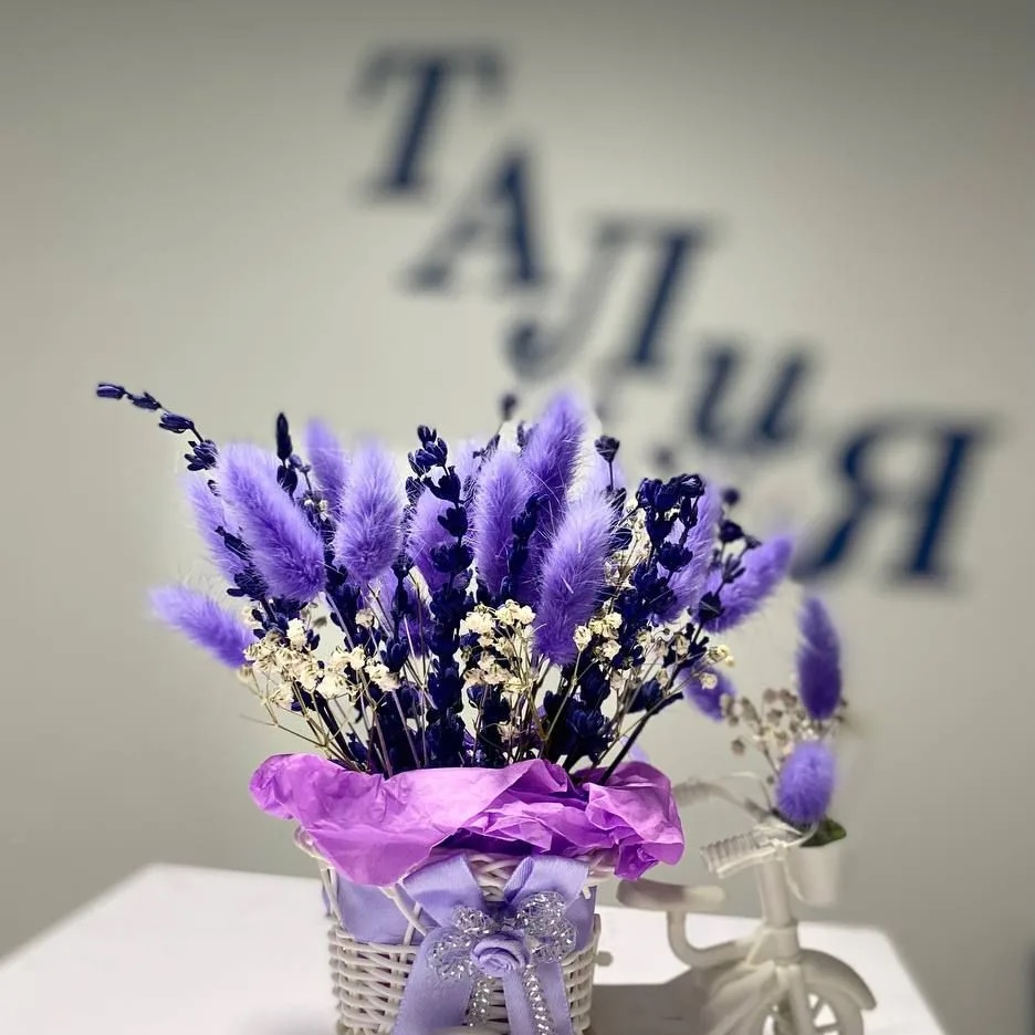 Центр "Талия"