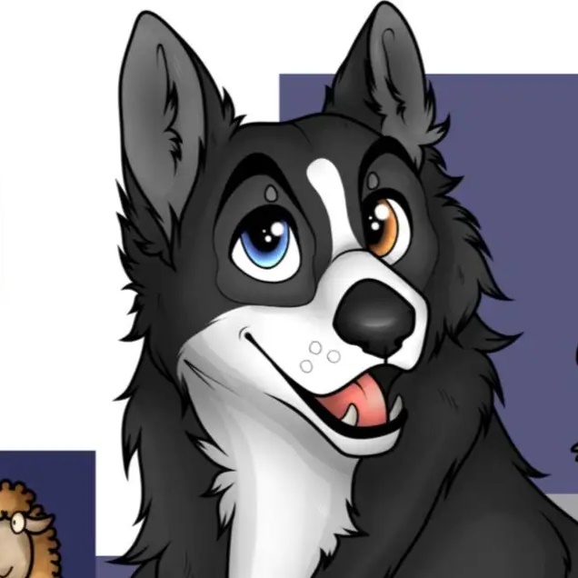 Бордер колли | Вязки, пометы, щенки