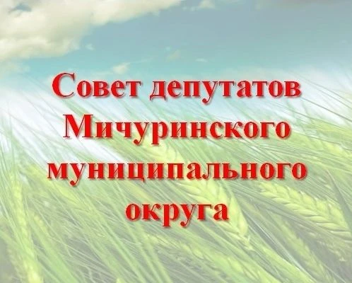 Совет депутатов Мичуринского МО