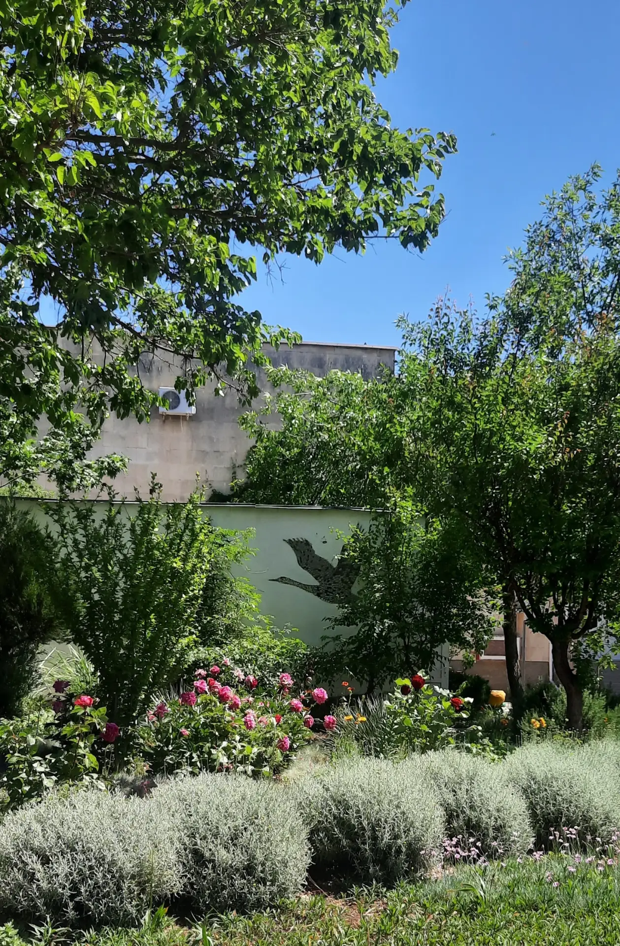 МБДОУ "Детский сад №37 "Журавлик", город Евпатория