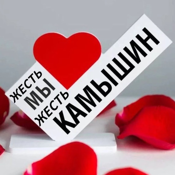 Жесть. Камышин