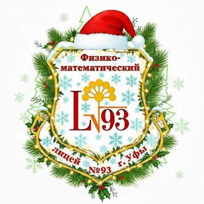 МАОУ «Физико-математический лицей № 93»