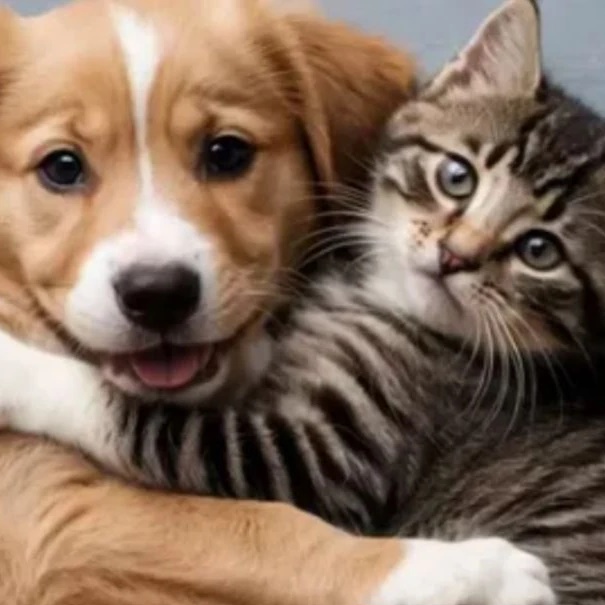 Модный бутик