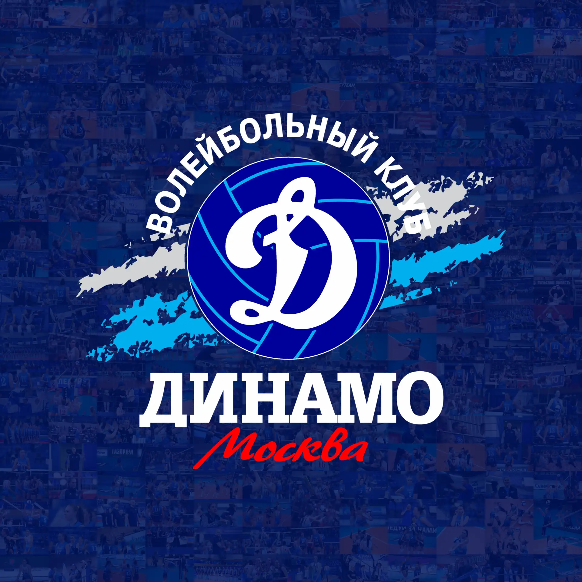 Волейбольный клуб «Динамо» (Москва)